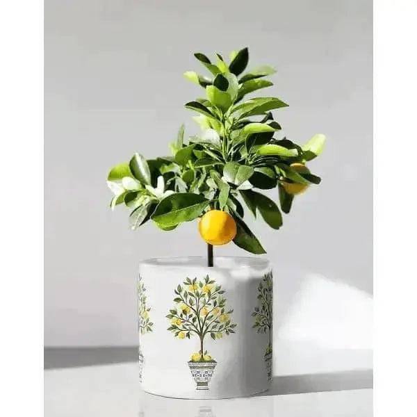 Large Lemon Design Planter - Treasures of my HeART