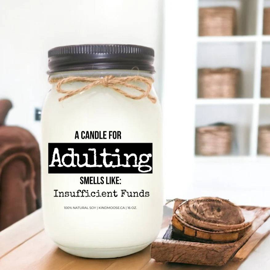 Adulting: Infused with Insufficient Funds - Treasures of my HeART