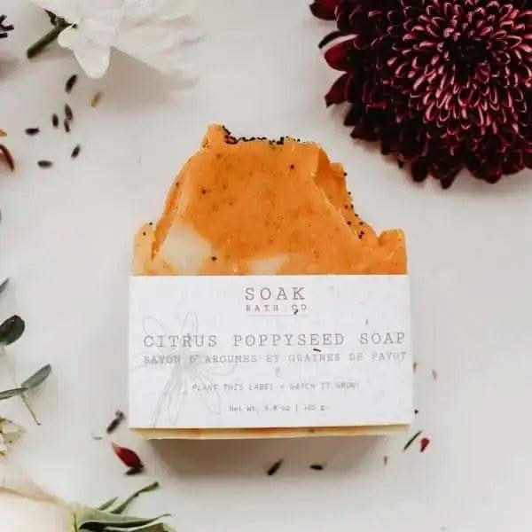 Citrus Poppyseed Soap Bar Treasures of my HeART